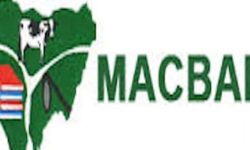 Miyetti Allah Cattle Breeders Association of Nigeria MACBAN 1280x720